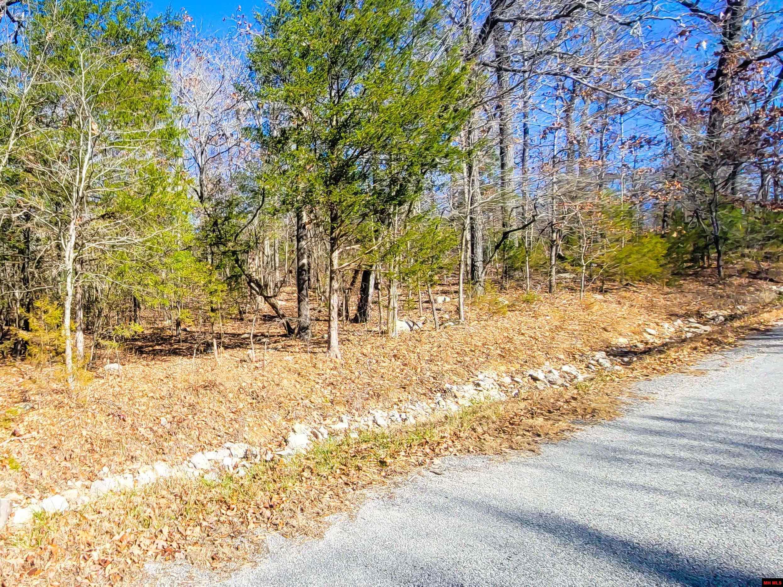 Lot-122-LEATHERSTOCKING-TRAIL-Mountain-Home-AR-72653
