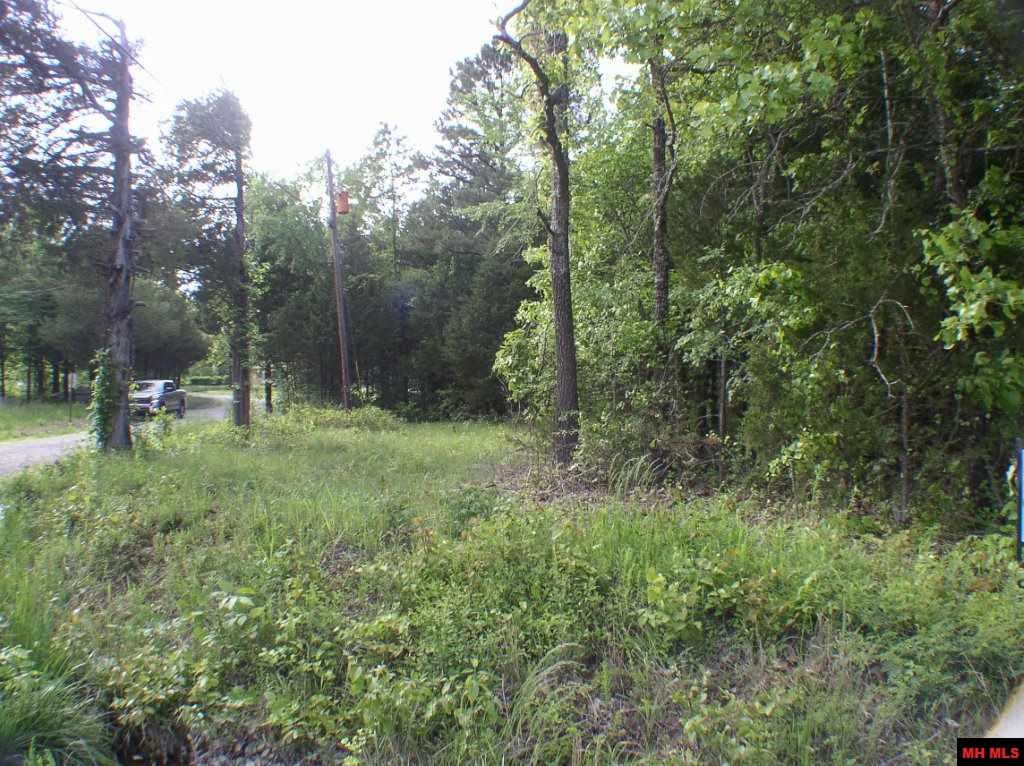 Land for sale – Lot 21  CR 307   Mountain Home, AR