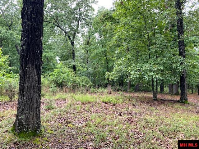 Land for sale – Lot 5  LAKEVIEW CIRCLE   Bull Shoals, AR