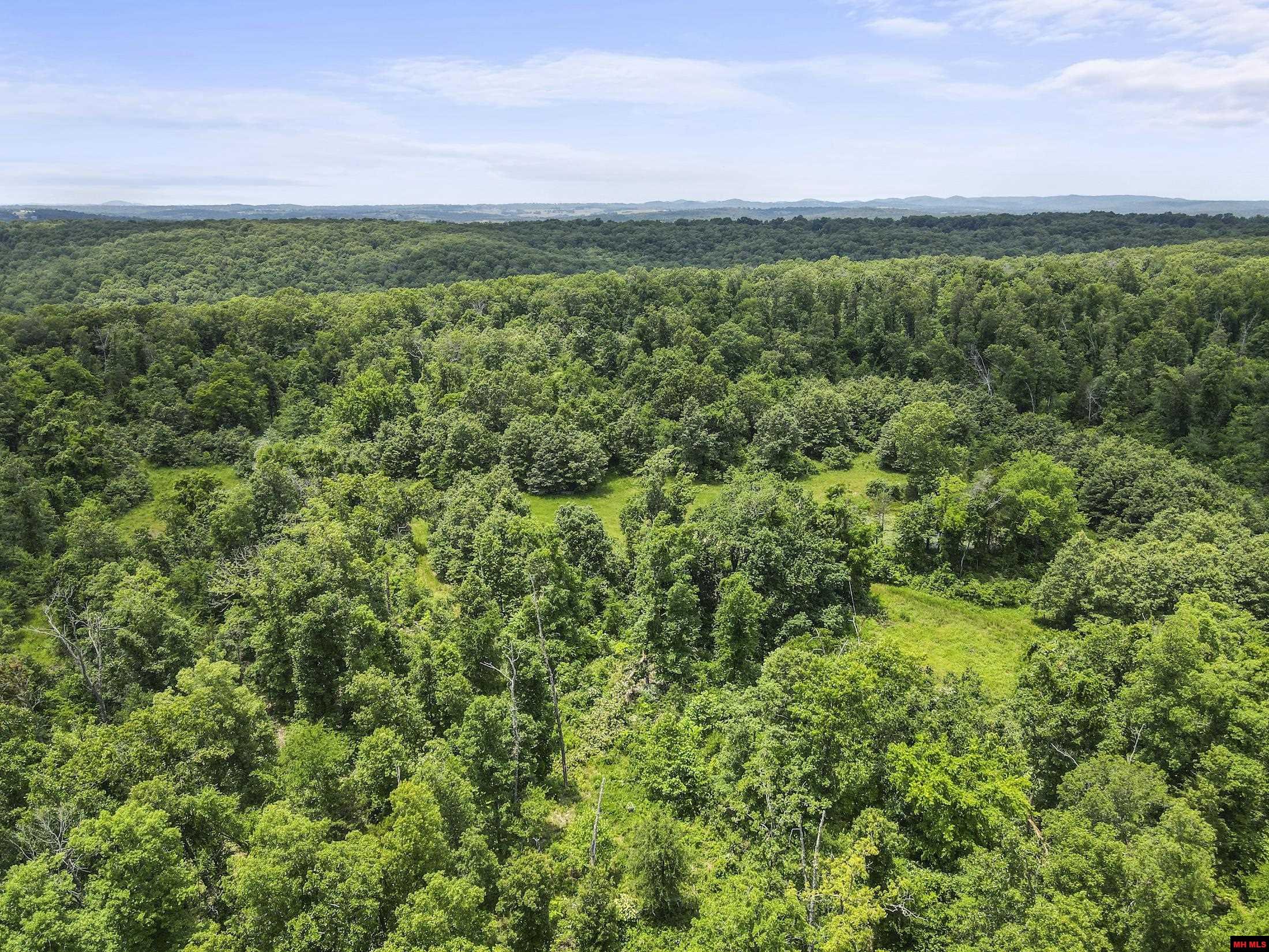 Photo 15 - Land for sale – 1402030000000  HWY PP   Tecumseh, MO