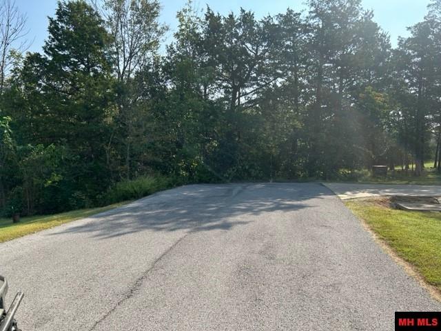 Photo 12 - Land for sale – 001-05276-003  INVERNESS DRIVE   Mountain Home, AR