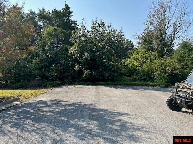 Photo 13 - Land for sale – 001-05276-003  INVERNESS DRIVE   Mountain Home, AR