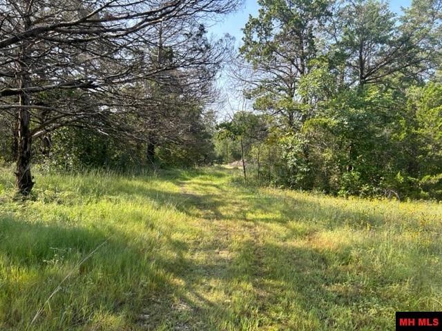 Photo 4 - Land for sale – 001-05276-003  INVERNESS DRIVE   Mountain Home, AR