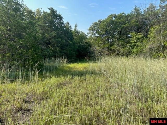 Photo 5 - Land for sale – 001-05276-003  INVERNESS DRIVE   Mountain Home, AR