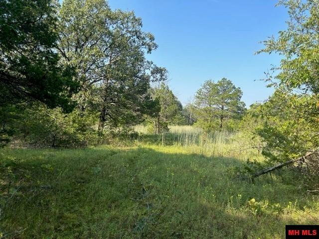 Photo 6 - Land for sale – 001-05276-003  INVERNESS DRIVE   Mountain Home, AR