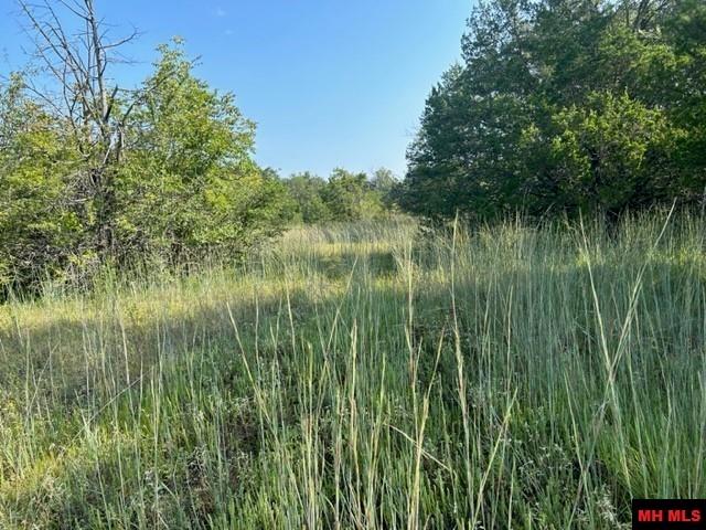 Photo 7 - Land for sale – 001-05276-003  INVERNESS DRIVE   Mountain Home, AR