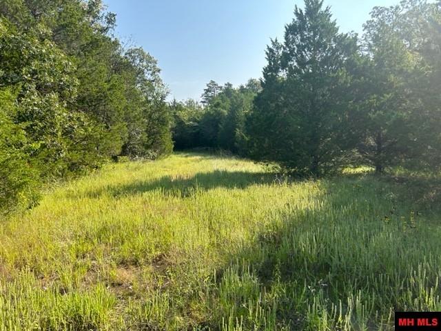 Photo 8 - Land for sale – 001-05276-003  INVERNESS DRIVE   Mountain Home, AR
