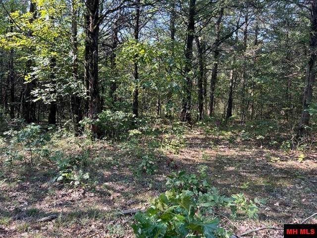 Photo 10 - Land for sale – 001-05276-003  INVERNESS DRIVE   Mountain Home, AR