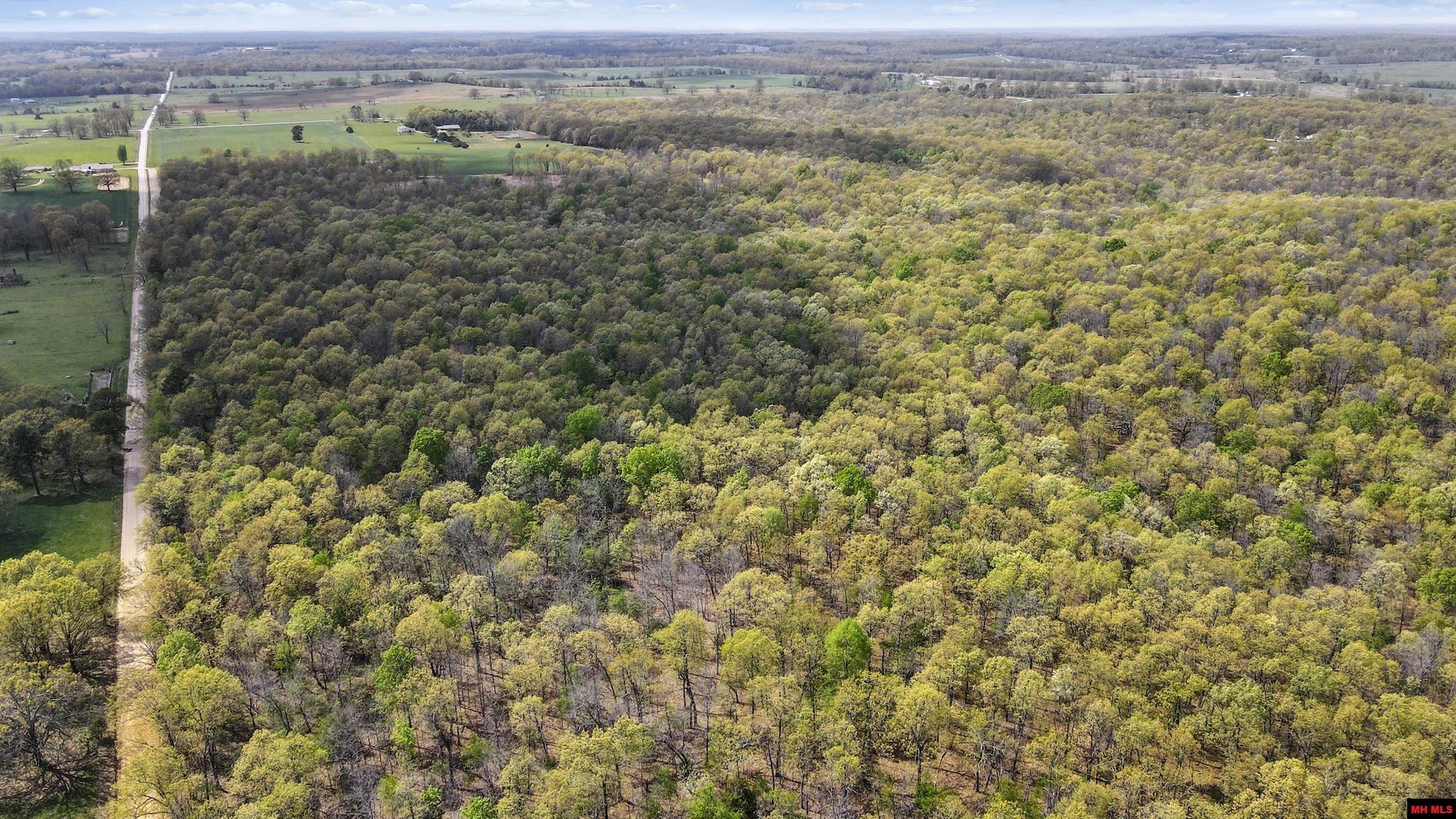 Photo 11 - Land for sale – 223208000000002  STATE HWY E   West Plains, MO