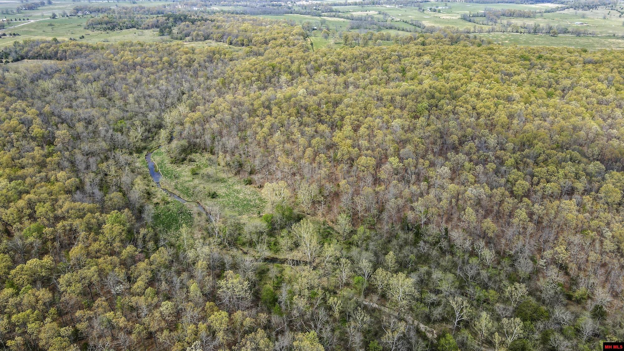 Photo 13 - Land for sale – 223208000000002  STATE HWY E   West Plains, MO