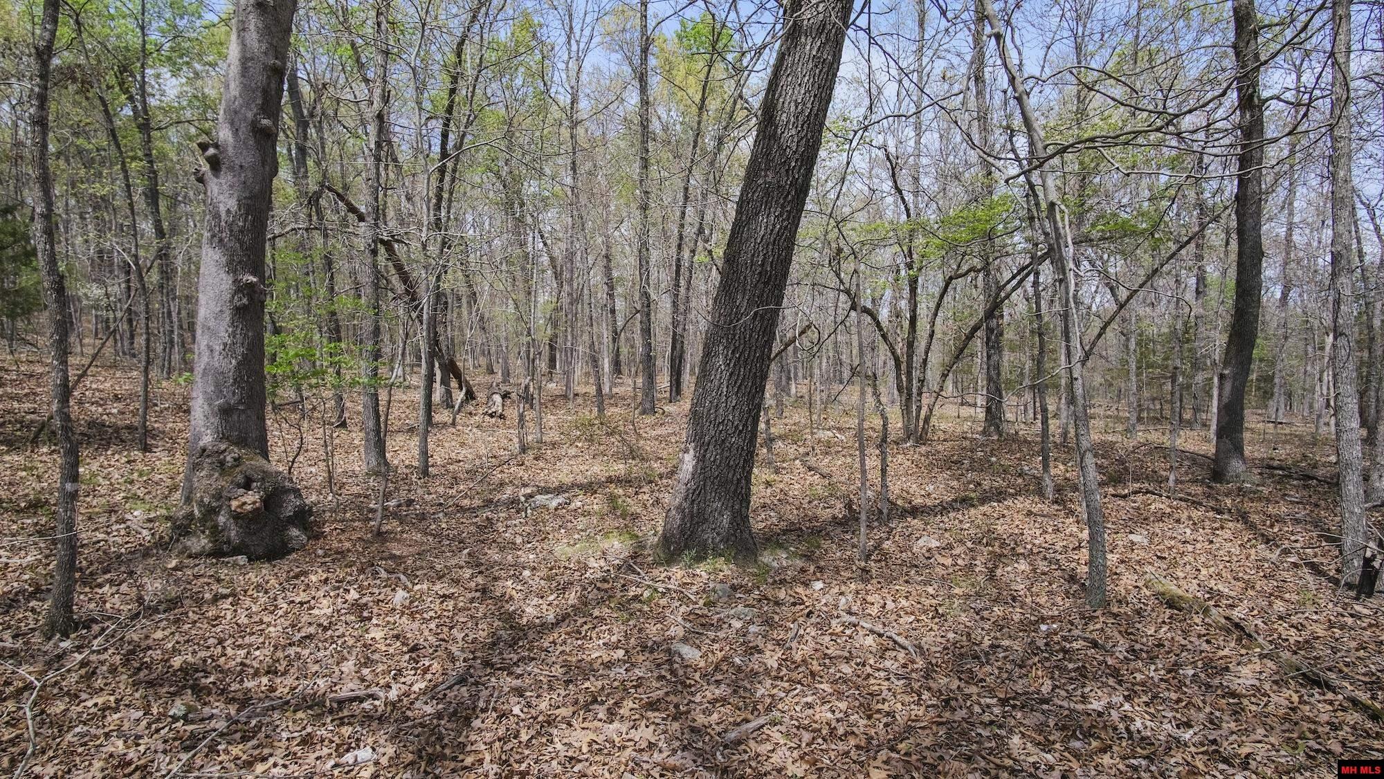 Photo 26 - Land for sale – 223208000000002  STATE HWY E   West Plains, MO