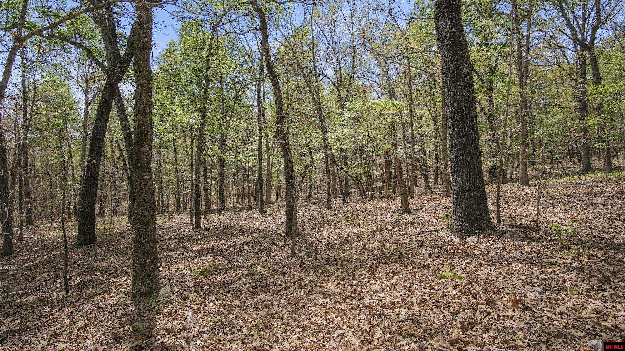 Photo 29 - Land for sale – 223208000000002  STATE HWY E   West Plains, MO