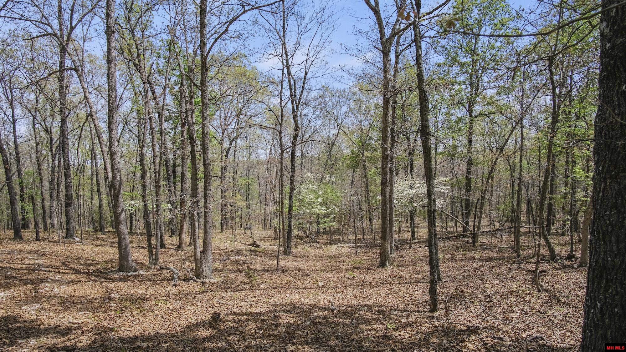 Photo 30 - Land for sale – 223208000000002  STATE HWY E   West Plains, MO