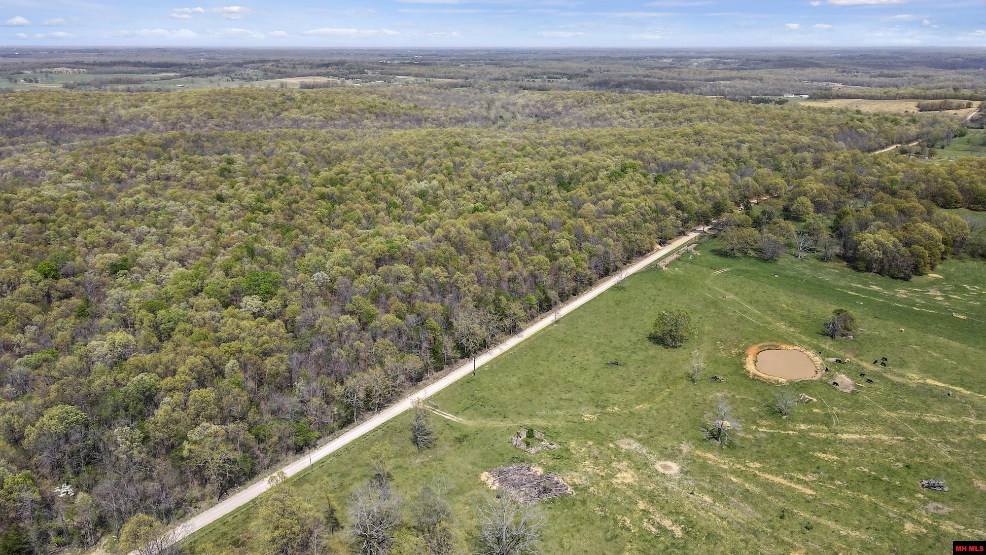 Photo 4 - Land for sale – 223208000000002  STATE HWY E   West Plains, MO