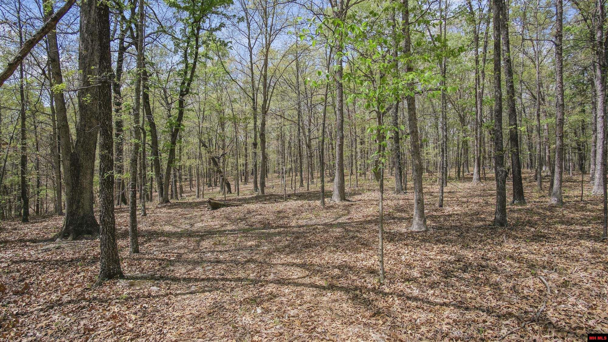 Photo 32 - Land for sale – 223208000000002  STATE HWY E   West Plains, MO