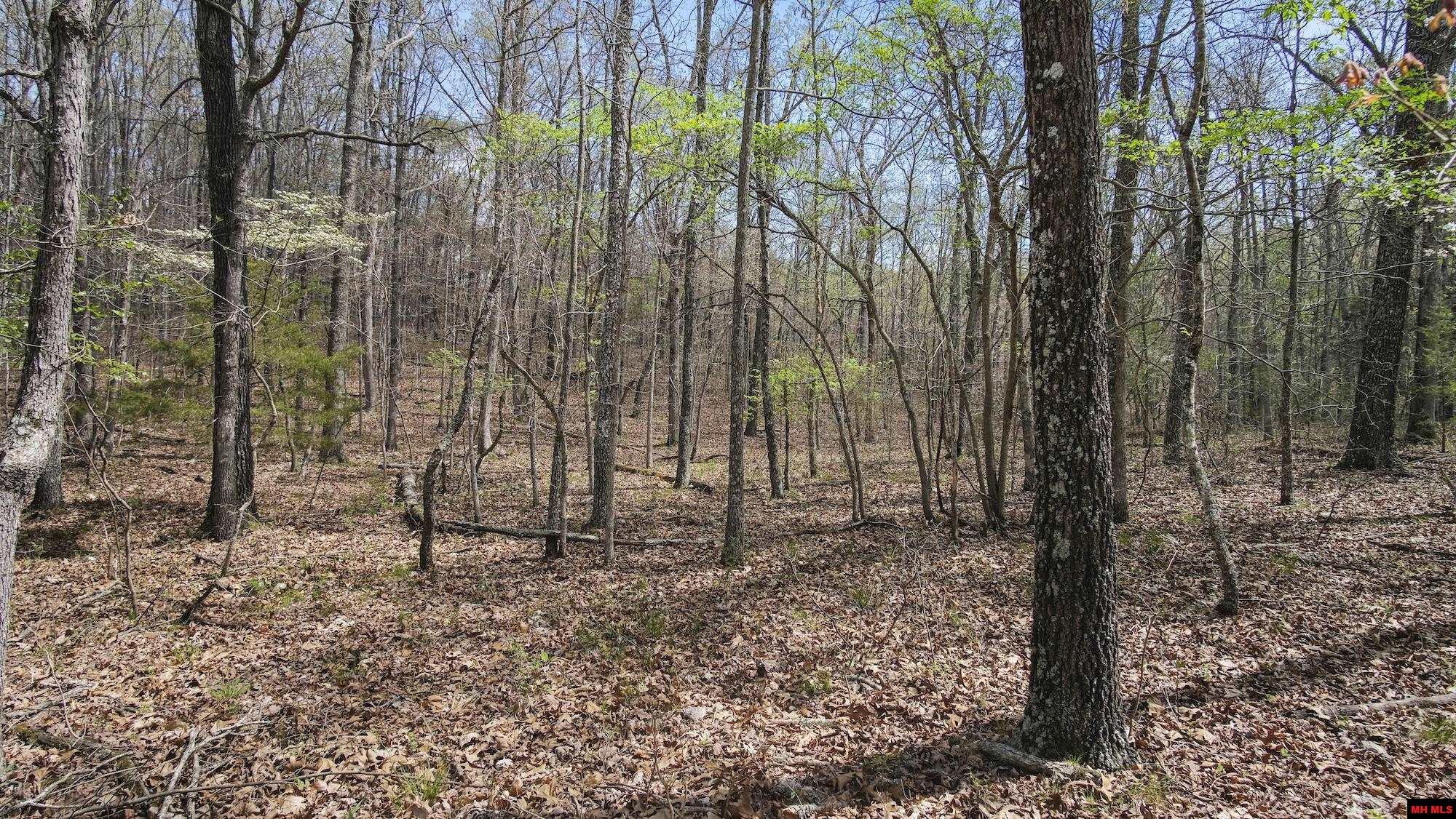 Photo 33 - Land for sale – 223208000000002  STATE HWY E   West Plains, MO