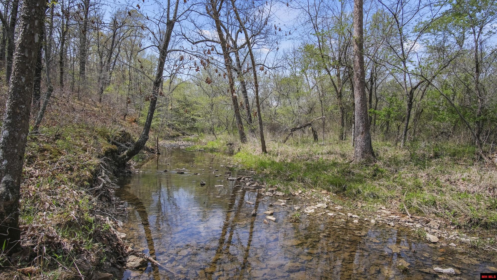 Photo 35 - Land for sale – 223208000000002  STATE HWY E   West Plains, MO