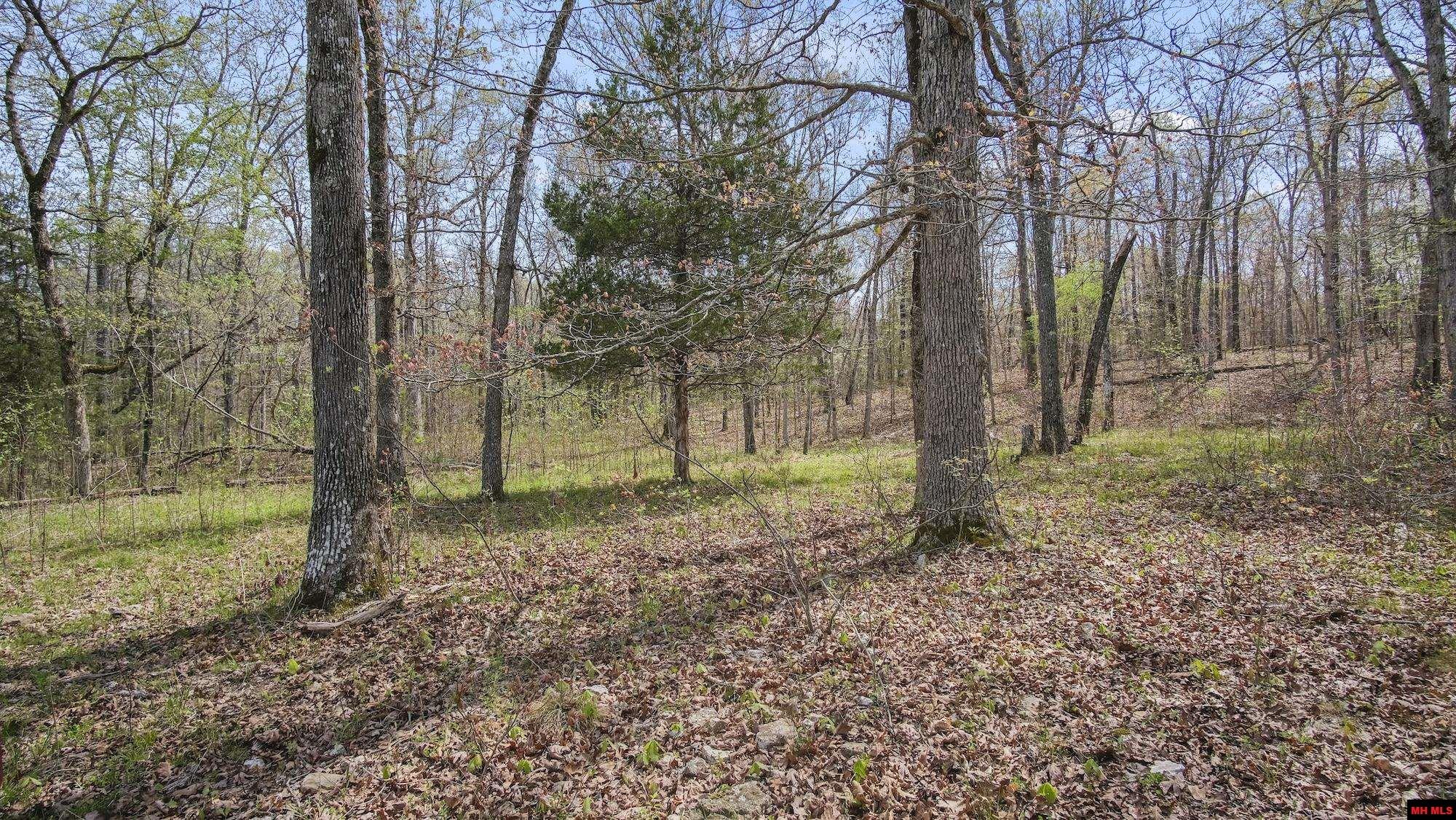 Photo 37 - Land for sale – 223208000000002  STATE HWY E   West Plains, MO