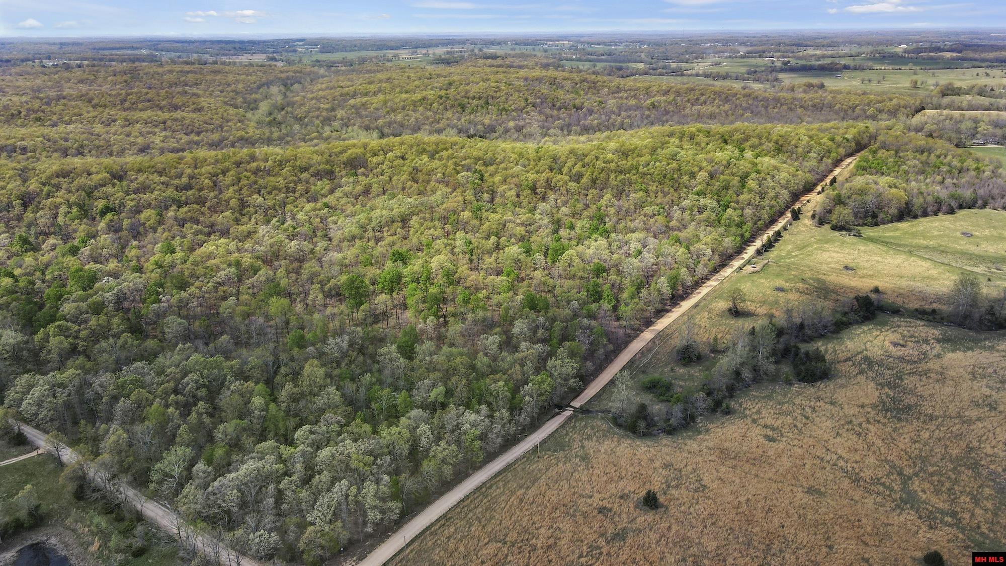 Photo 38 - Land for sale – 223208000000002  STATE HWY E   West Plains, MO