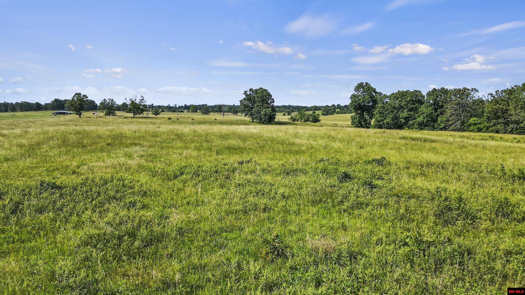 Photo 39 - Land for sale – 223208000000002  STATE HWY E   West Plains, MO