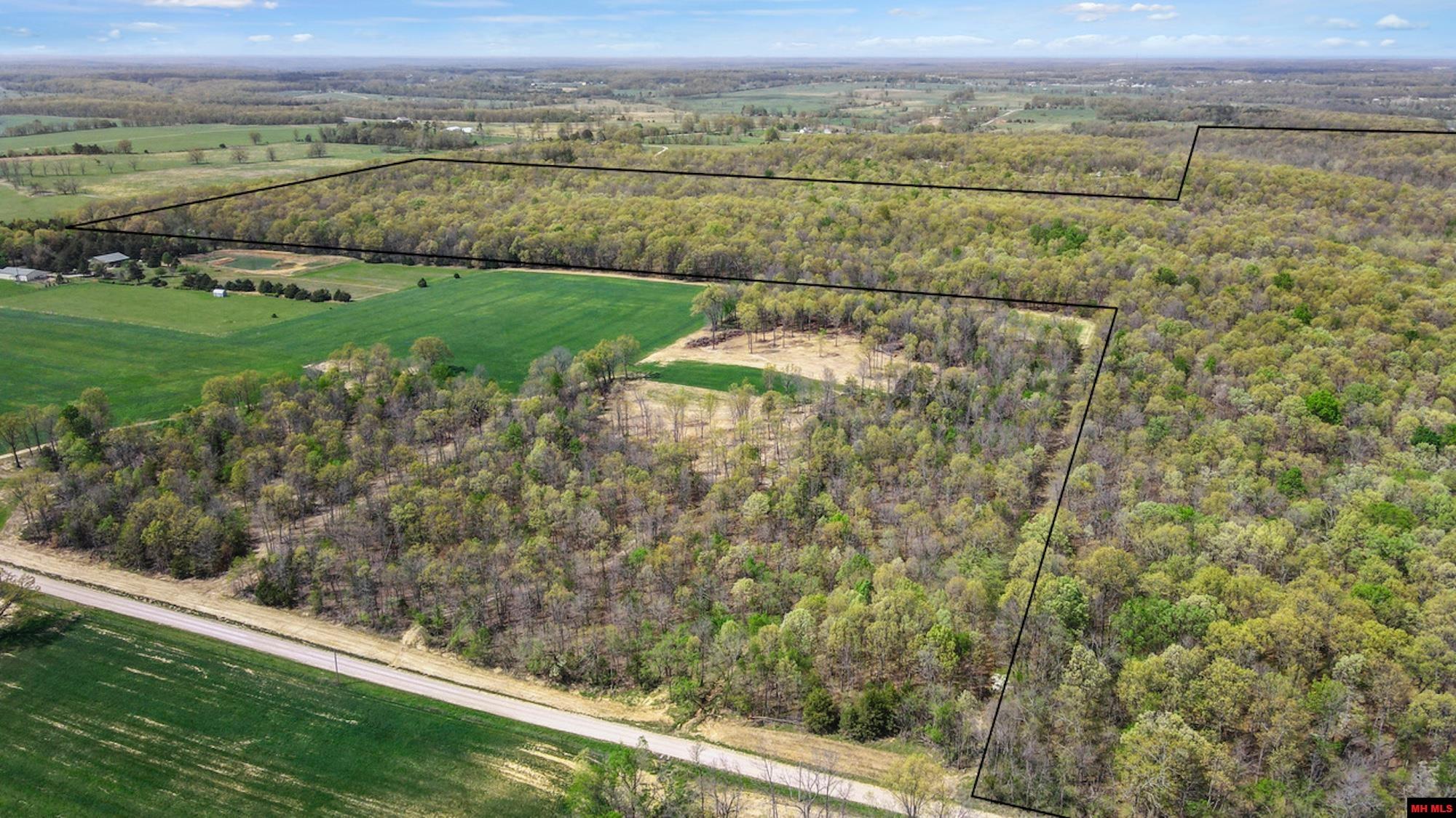 Photo 5 - Land for sale – 223208000000002  STATE HWY E   West Plains, MO