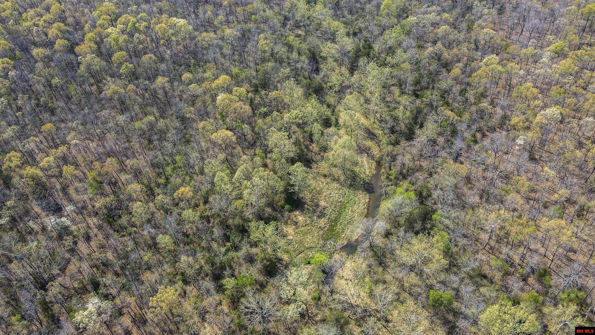 Photo 7 - Land for sale – 223208000000002  STATE HWY E   West Plains, MO